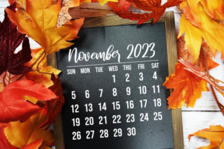 A calendar with the month November