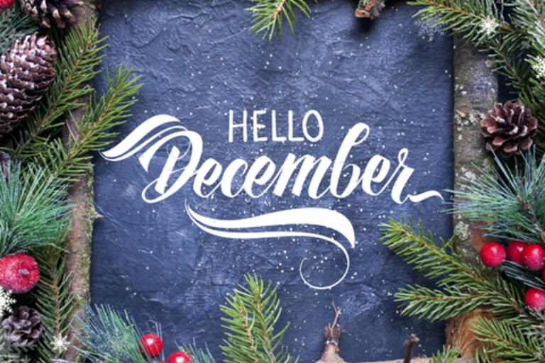 Words hello December surrounded by holly and pine cones