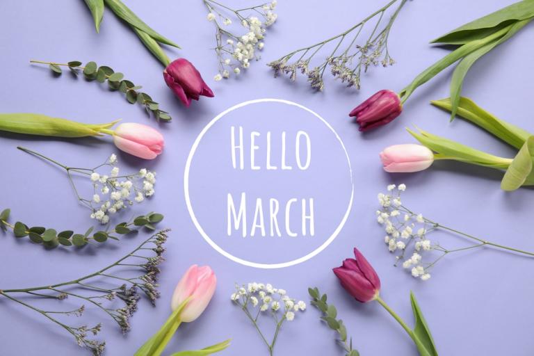 Words 'Hello March' surrounded by tulips