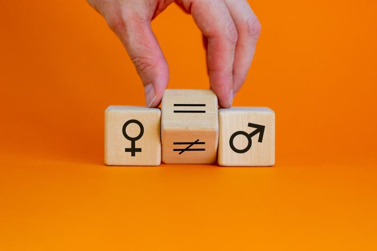 gender dice concept