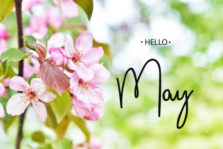 The words 'hello May' next to some cherry blossom