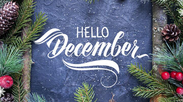 Words hello December surrounded by holly and pine cones