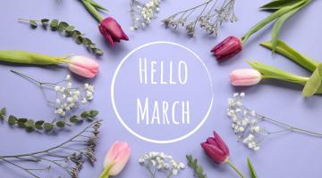 Words 'Hello March' surrounded by tulips