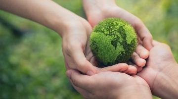 Hands holding a globe