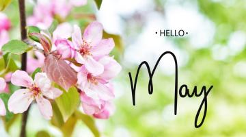 The words 'hello May' next to some cherry blossom