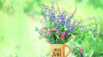 Mug full of flowers with writing on it to say 'hello june'.