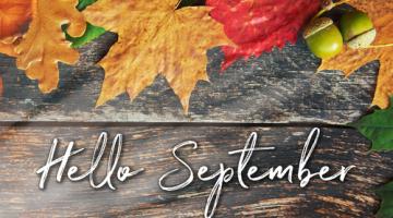 Hello September surrounded by leaves