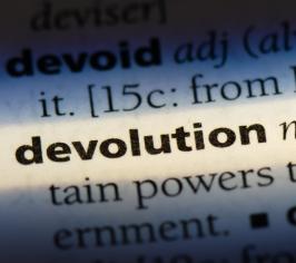 devolution dictionary entry concept