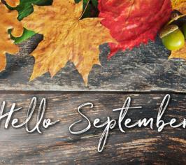 Hello September surrounded by leaves
